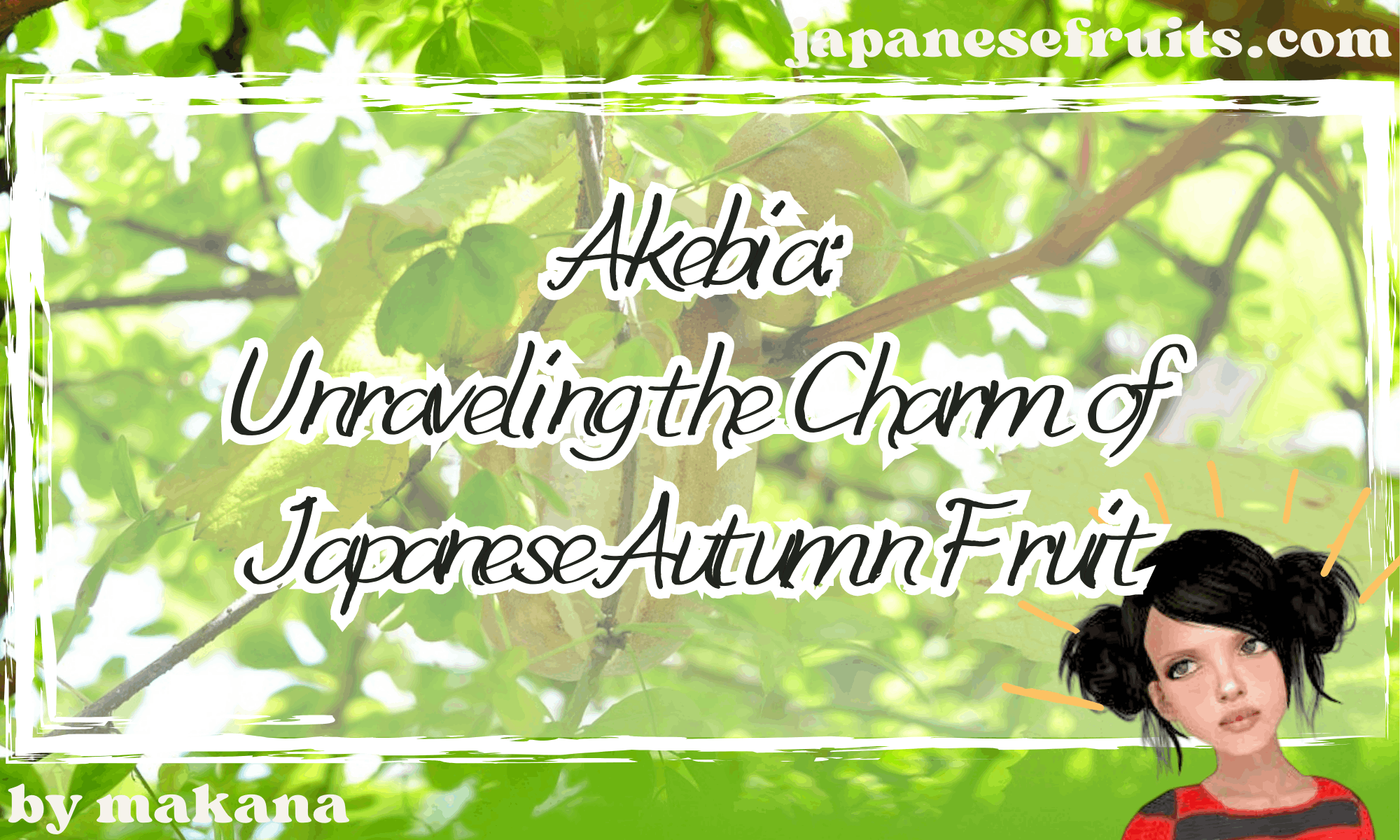 The Akebia: A Symbol of Japanese Autumn – Tradition, Modernity, and Global Spread